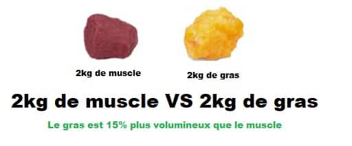 Volume masse musculaire et masse graisseuse : Différence entre le muscle et le gras - Quel est le plus lourd ?